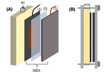 Bio-Battery